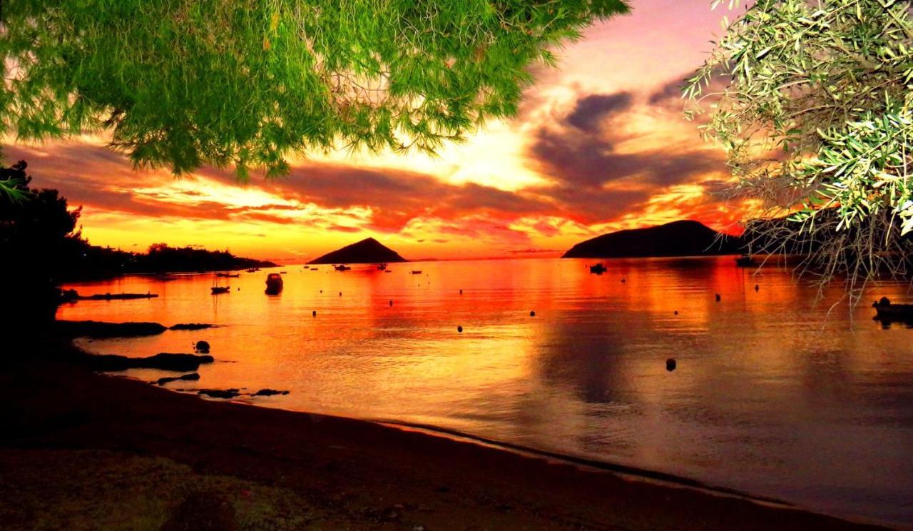 Villa Clotho Πόρτο Ράφτη Εξωτερικό φωτογραφία