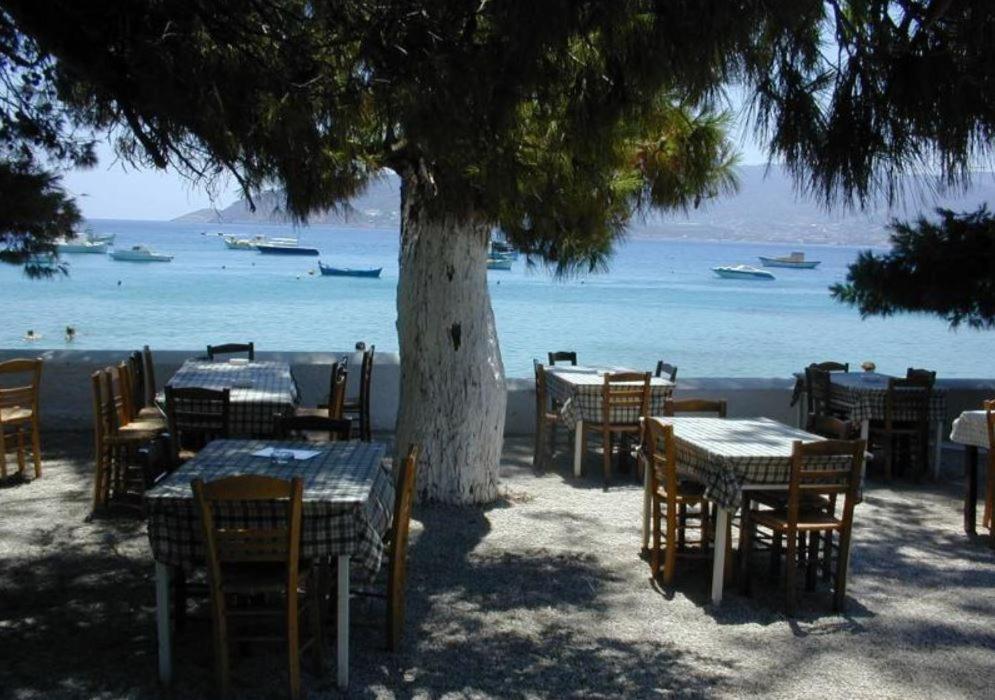 Villa Clotho Πόρτο Ράφτη Εξωτερικό φωτογραφία